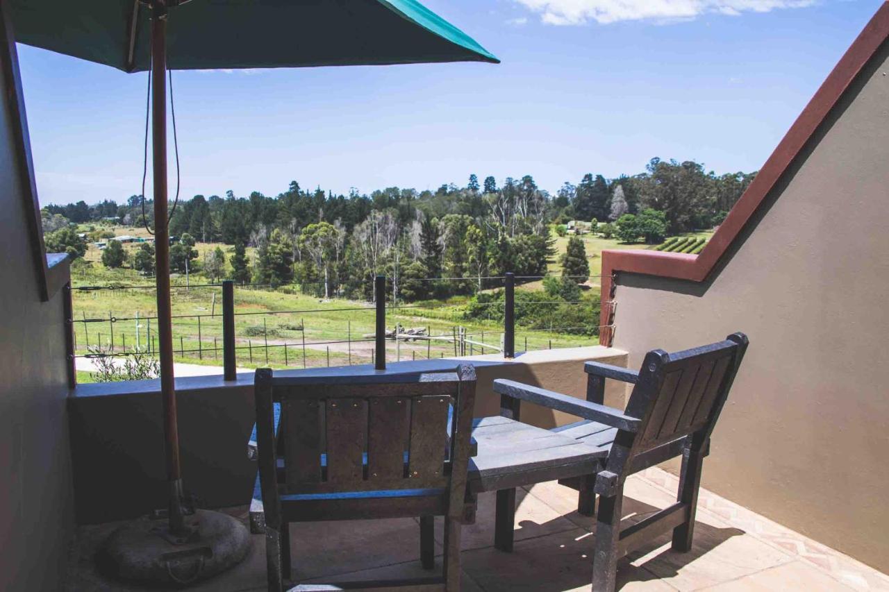 Knysna Elephant Park Lodge 普勒滕贝格湾 外观 照片