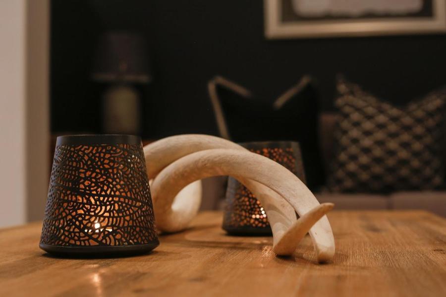 Knysna Elephant Park Lodge 普勒滕贝格湾 外观 照片
