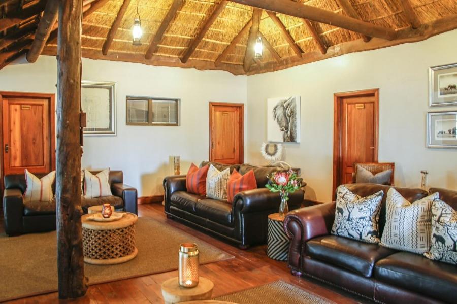 Knysna Elephant Park Lodge 普勒滕贝格湾 外观 照片