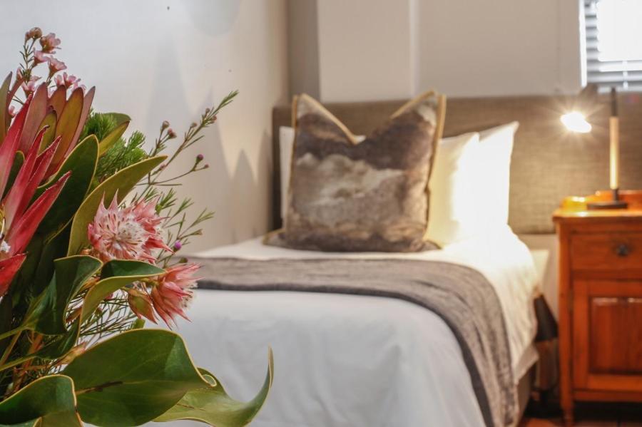Knysna Elephant Park Lodge 普勒滕贝格湾 外观 照片
